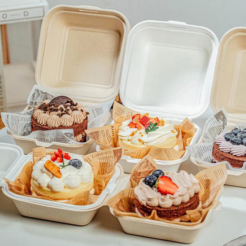 【Nice】10pcs Disposable Bento F - Nice Food Snacks review and price