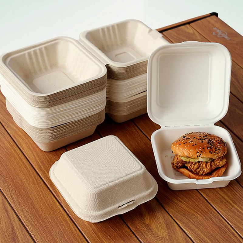 【Nice】10pcs Disposable Bento F - Nice Food Snacks review and price