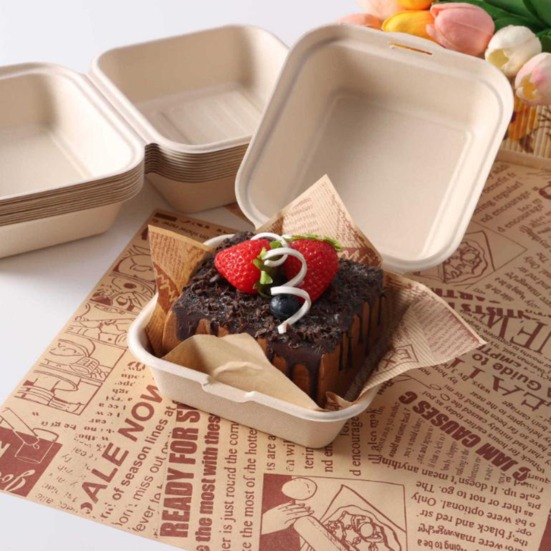 【Nice】10pcs Disposable Bento F - Nice Food Snacks review and price
