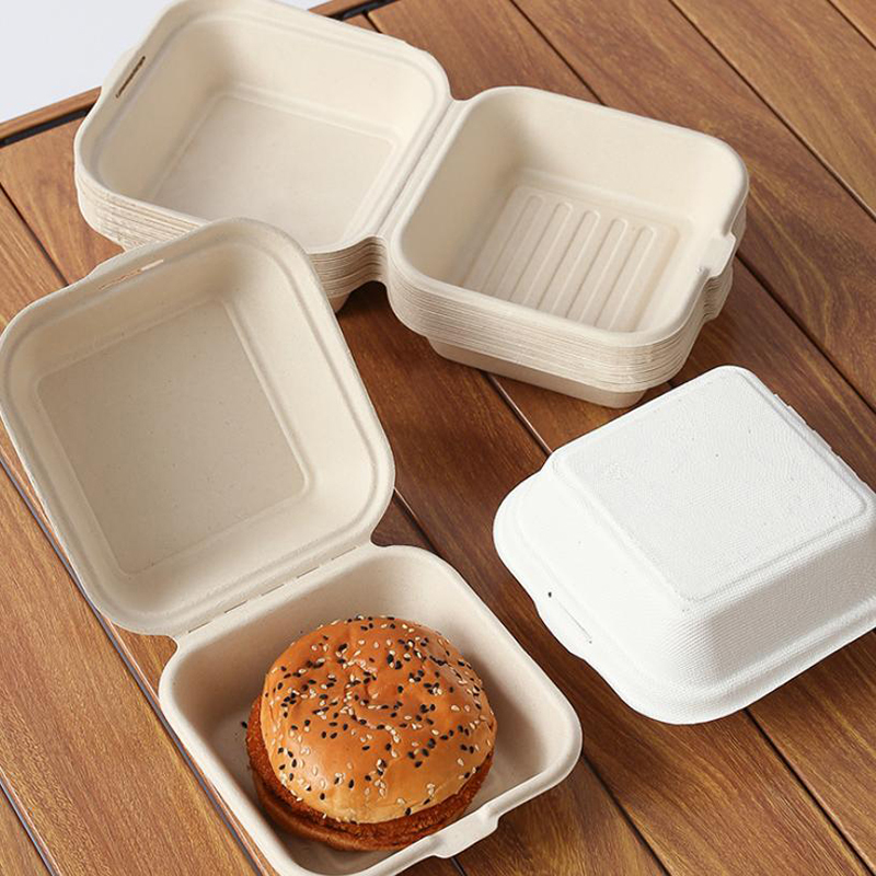 【Nice】10pcs Disposable Bento F - Nice Food Snacks review and price
